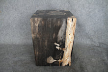 Square Petrified Wood Log Stool 18" x 12" x 12" -0086.19 or 86.19