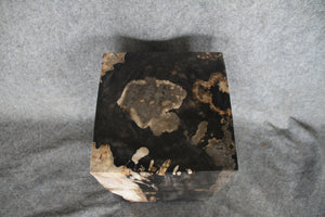Square Petrified Wood Log Stool 18" x 12" x 12" -0086.19 or 86.19