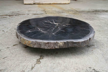 Petrified Wood Slab Coffee Table 26" x 26" x 2"H - PFT0338/20