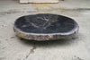 Petrified Wood Slab Coffee Table 26" x 26" x 2"H - PFT0338/20