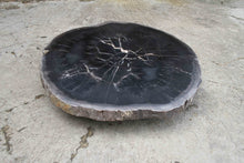 Petrified Wood Slab Coffee Table 26" x 26" x 2"H - PFT0338/20
