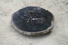 Petrified Wood Slab Coffee Table 26" x 26" x 2"H - PFT0338/20