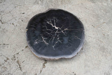 Petrified Wood Slab Coffee Table 26" x 26" x 2"H - PFT0338/20