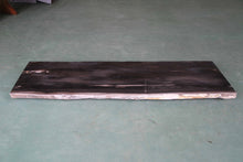 Petrified Wood Slab 47" X 16" X 2"H - PFC087/20 Aire Furniture
