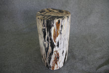 Petrified Wood Log Stool  10 x 9 x 16.5 - 108.21