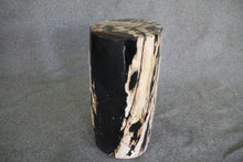 Petrified Wood Log Stool  10 x 9 x 16.5 - 108.21