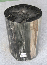 Petrified Wood Log Stool 13" x 12" x19"H -PFST1198/19