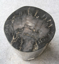 Petrified Wood Log Stool 13" x 12" x19"H -PFST1198/19
