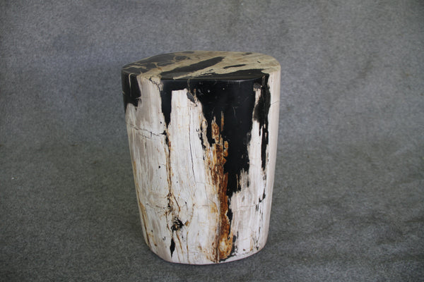 Petrified Wood Log Stool 12 x 9 x 17 - 1402.21