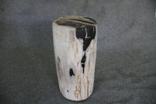 Petrified Wood Log Stool 12 x 9 x 17 - 1402.21