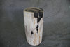 Petrified Wood Log Stool 12 x 9 x 17 - 1402.21