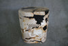 Petrified Wood Log Stool 16" x 13" x 12" - 1534.22