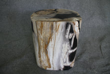 Petrified Wood Log Stool 16" x 13" x 12" - 1534.22