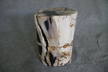 Petrified Wood Log Stool 16" x 13" x 12" - 1534.22