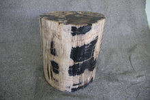 Petrified Wood Log Stool 15" x 13" x 16" - 1631.22