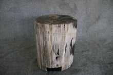 Petrified Wood Log Stool 11" x 11" 16" 1682.21