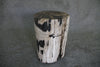 Petrified Wood Log Stool 11" x 11" 16" 1682.21