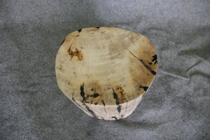 Petrified Wood Log Stool 15 x 10 x 17 - 1770.21