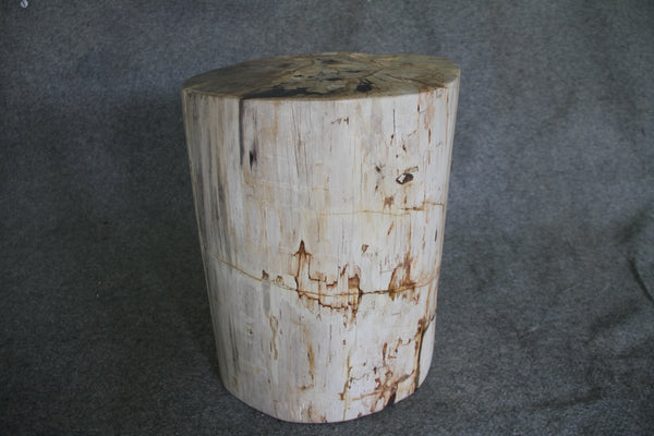 Petrified Wood Log Stool 18" x 14" x 12" - 1803.22