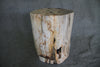 Petrified Wood Log Stool 18" x 14" x 12" - 1803.22