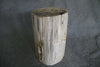 Petrified Wood Log Stool 18" x 14" x 12" - 1803.22