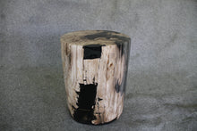 Petrified Wood Log Stool 11" x 13" x 16" - 1985.21