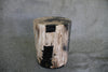 Petrified Wood Log Stool 11" x 13" x 16" - 1985.21