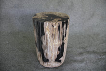 Petrified Wood Log Stool 11" x 13" x 16" - 1985.21