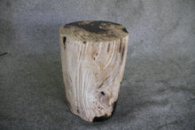 Petrified Wood Log Stool 11" x 13" x 16" - 1985.21