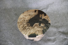 Petrified Wood Log Stool 11" x 13" x 16" - 1985.21