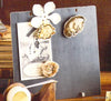 Roost Petrified Wood Magnets - Set Of 6