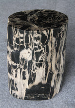 Petrified Wood Log Stool 10"x9"x16"H -PFST0334/20