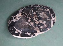 Petrified Wood Slab Coffee Table - 36" x 26" x 2"H - PFT0416/20