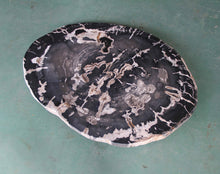 Petrified Wood Slab Coffee Table - 36" x 26" x 2"H - PFT0416/20