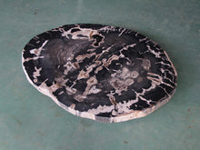 Petrified Wood Slab Coffee Table - 36" x 26" x 2"H - PFT0416/20