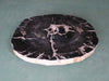 Petrified Wood Slab Coffee Table - 32" x 28m"x  2"H - PFT0437/20