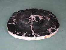 Petrified Wood Slab Coffee Table - 32" x 28m"x  2"H - PFT0437/20
