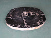 Petrified Wood Slab Coffee Table - 32" x 28m"x  2"H - PFT0437/20