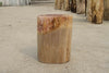 Petrified Wood Log Stool 13"x 9"x 18"H -PFST0673/19