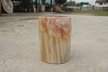 Petrified Wood Log Stool 13"x 9"x 18"H -PFST0673/19