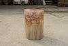 Petrified Wood Log Stool 13"x 9"x 18"H -PFST0673/19