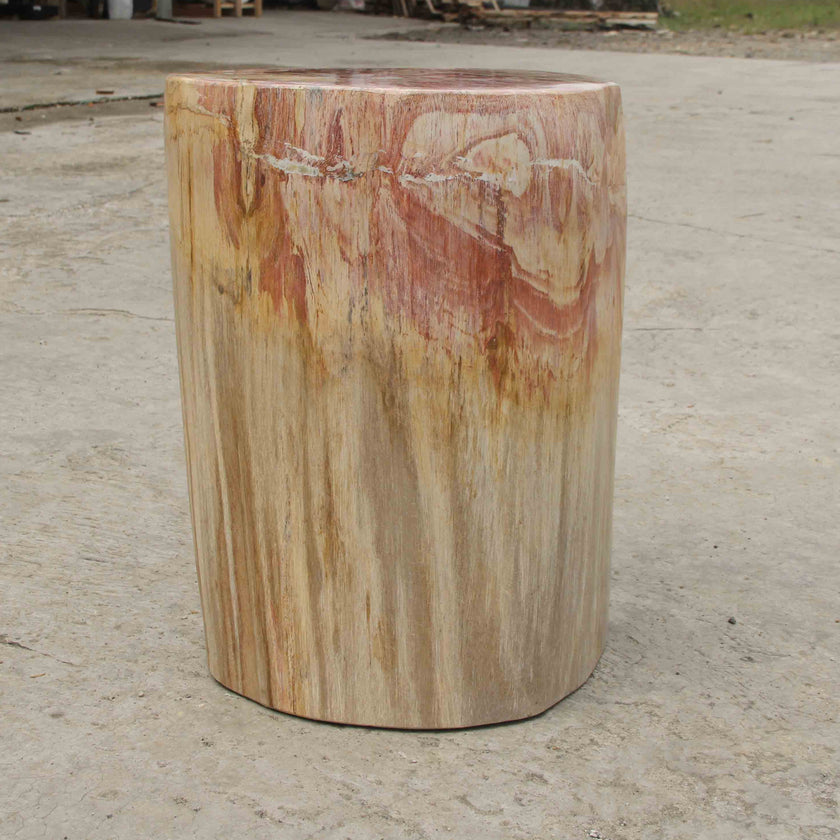 Petrified Wood Log Stool 13