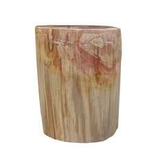 Petrified Wood Log Stool 13"x 9"x 18"H -PFST0673/19