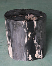 Petrified Wood Log Stool 16"x 12"x 18"H -PFST0742/19