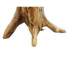 Teak Wood Slice Live Edge Accent Tables
