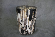 Petrified Wood Log Stool 13 x 11 x 18 - DV.1.111