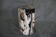 Petrified Wood Log Stool 13 x 11 x 18 - DV.1.111