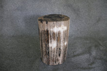 Petrified Wood Log Stool 10" x 10" x 16.5" - DV.1.112