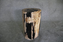 Petrified Wood Log Stool 10" x 10" x 16.5" - DV.1.112