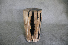 Petrified Wood Log Stool 10" x 10" x 16.5" - DV.1.112